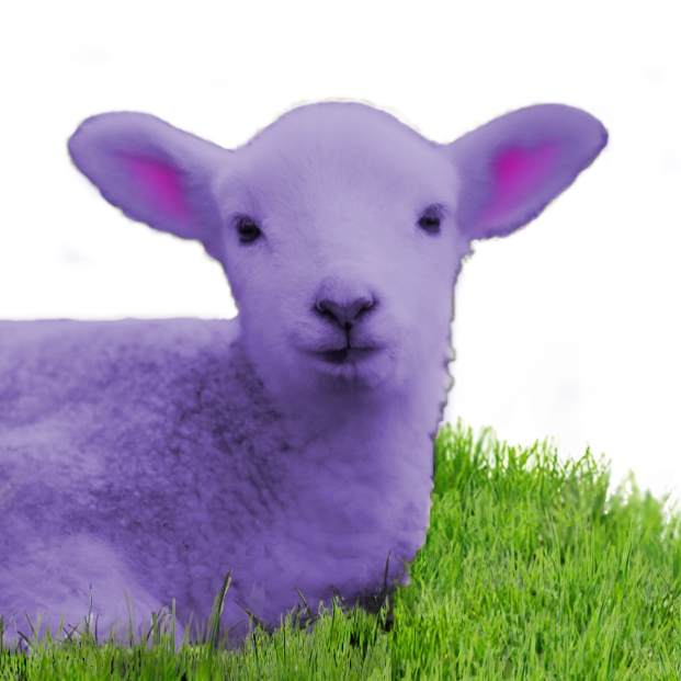 Purple Lamb Fiber Arts logo