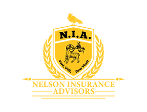 Nelson Insurance Advisors LLC logo