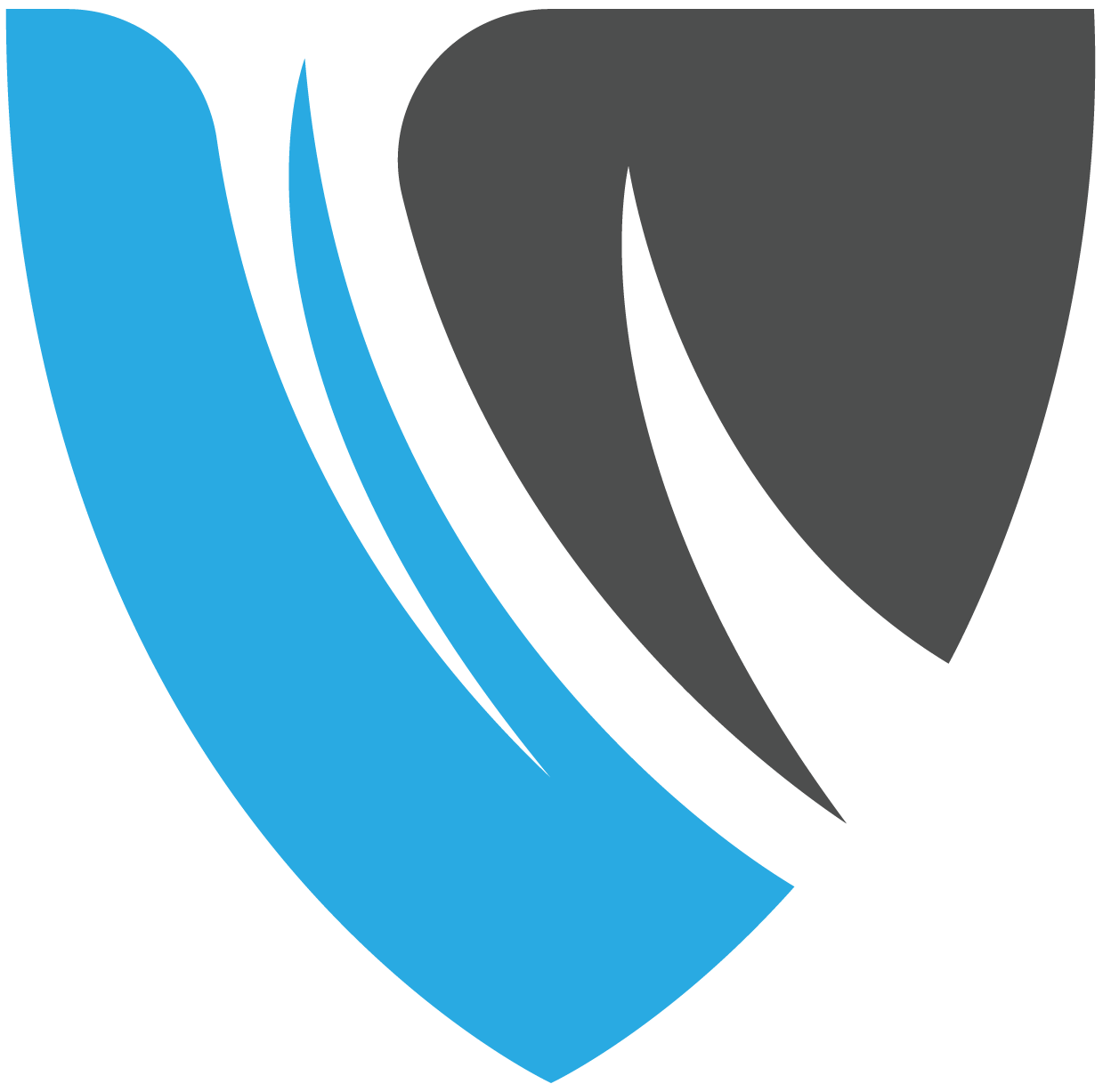 Visionary Systems logo
